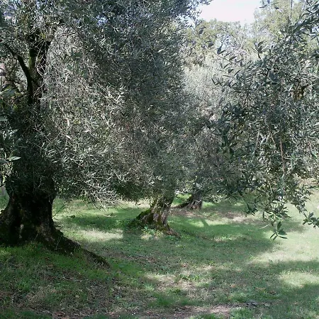 Bed & Breakfast Da Mariella *